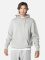 REED HOODIE MEN grey