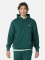 REED HOODIE MEN green