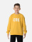 JACOB CREWNECK SWEATER BOY yellow