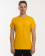 LIAM T-SHIRT MEN yellow