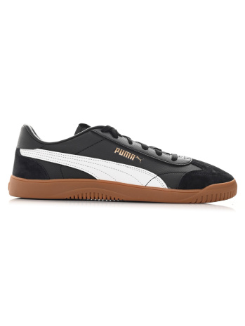 Brown puma 6 chipset hot sale